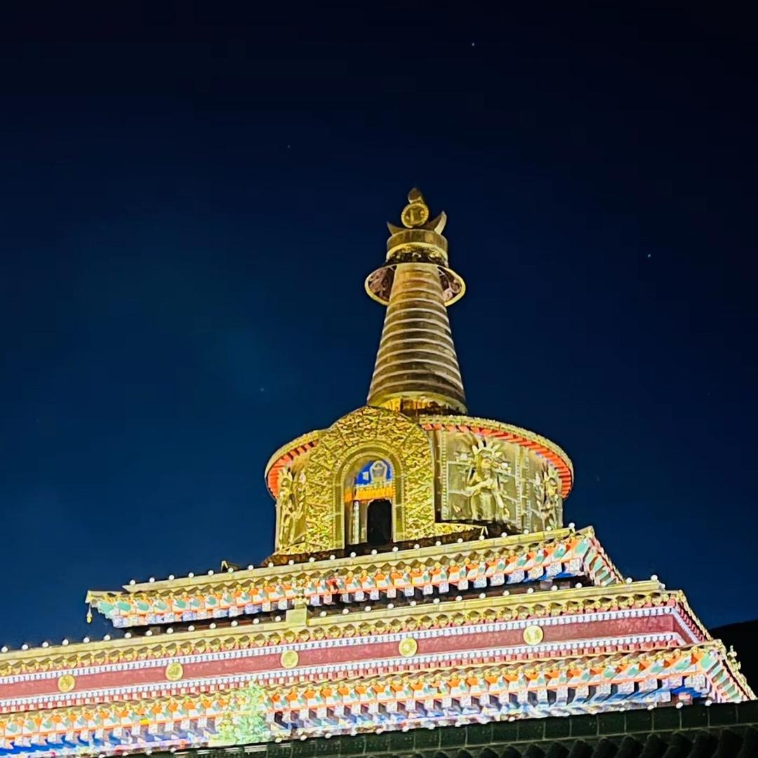 ¥藏1376