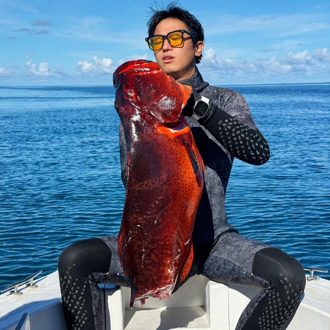 大鱼的海岛生活