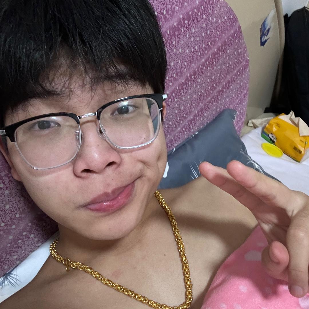 抄家养股（抽象版）