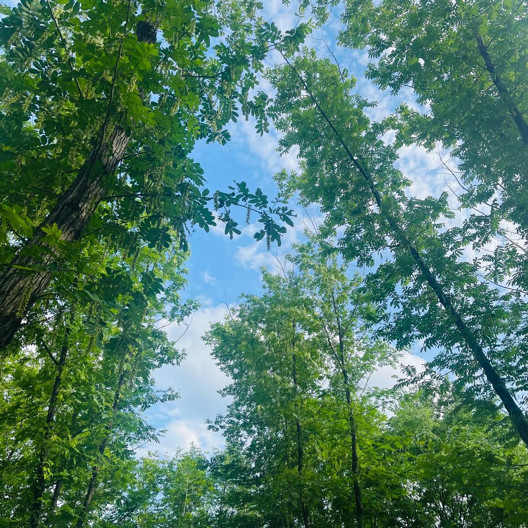 爱我老公🥰爱我溜宝😋