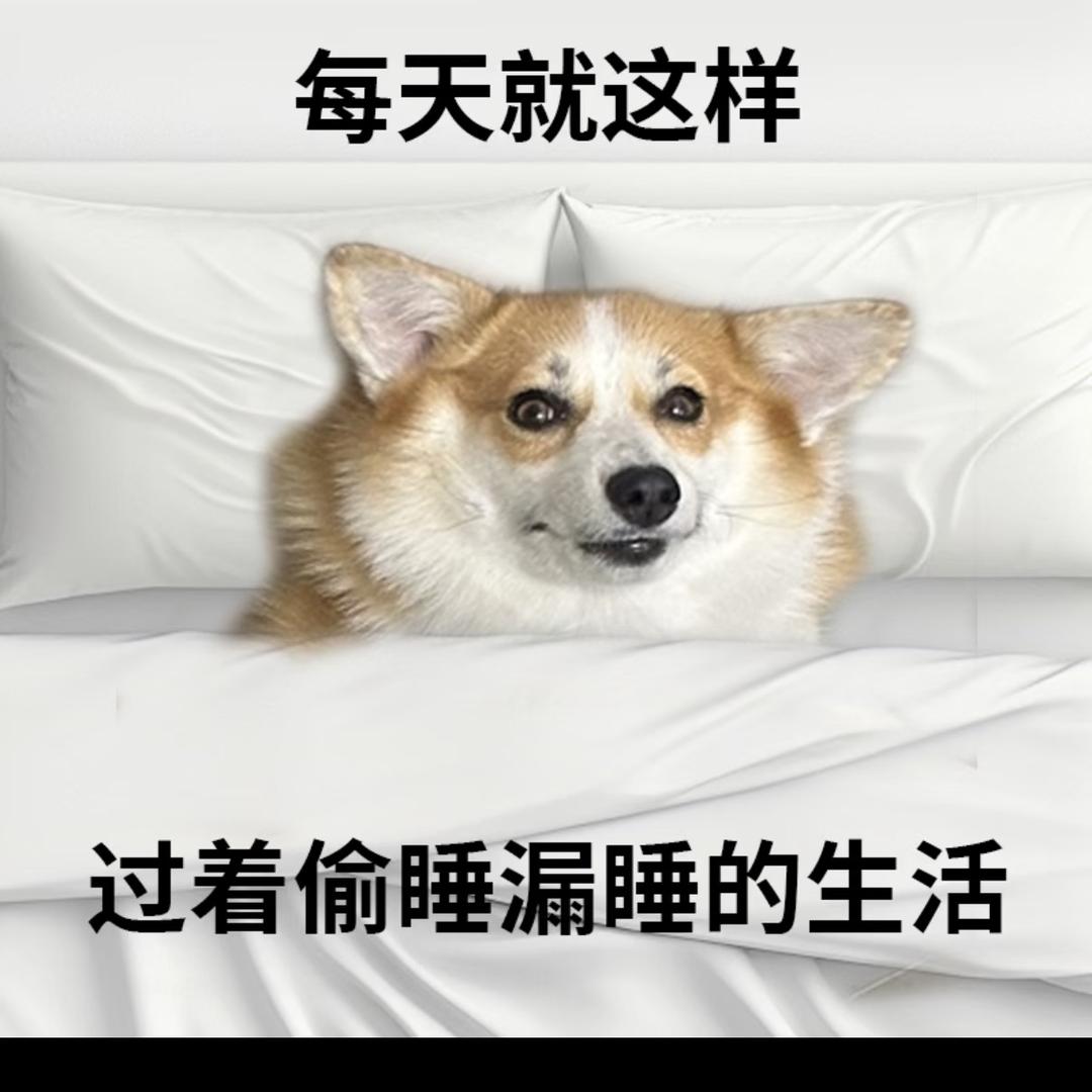 迪迦·