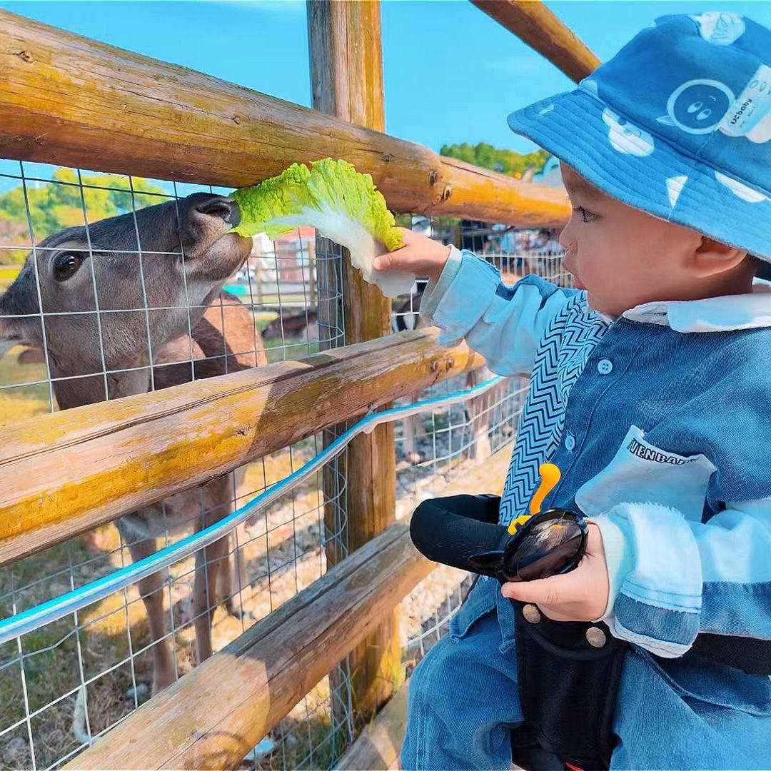 爱琛爱钩织（可接🥚）