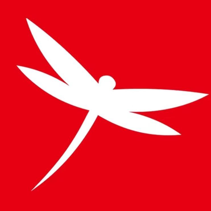 红清蜓女鞋👠形象店