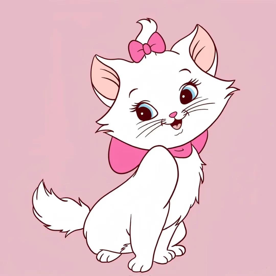 小粉猫🎀