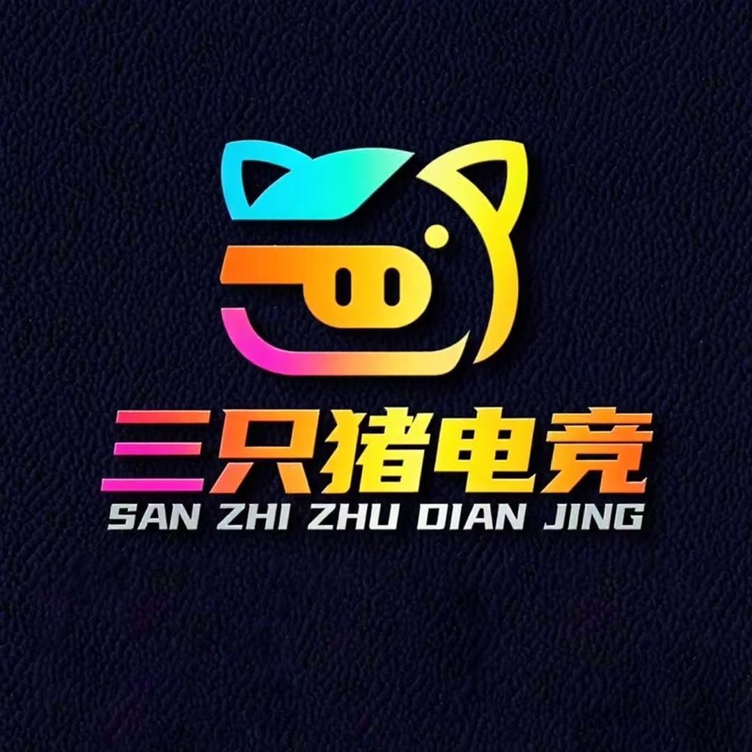 三只猪电竞