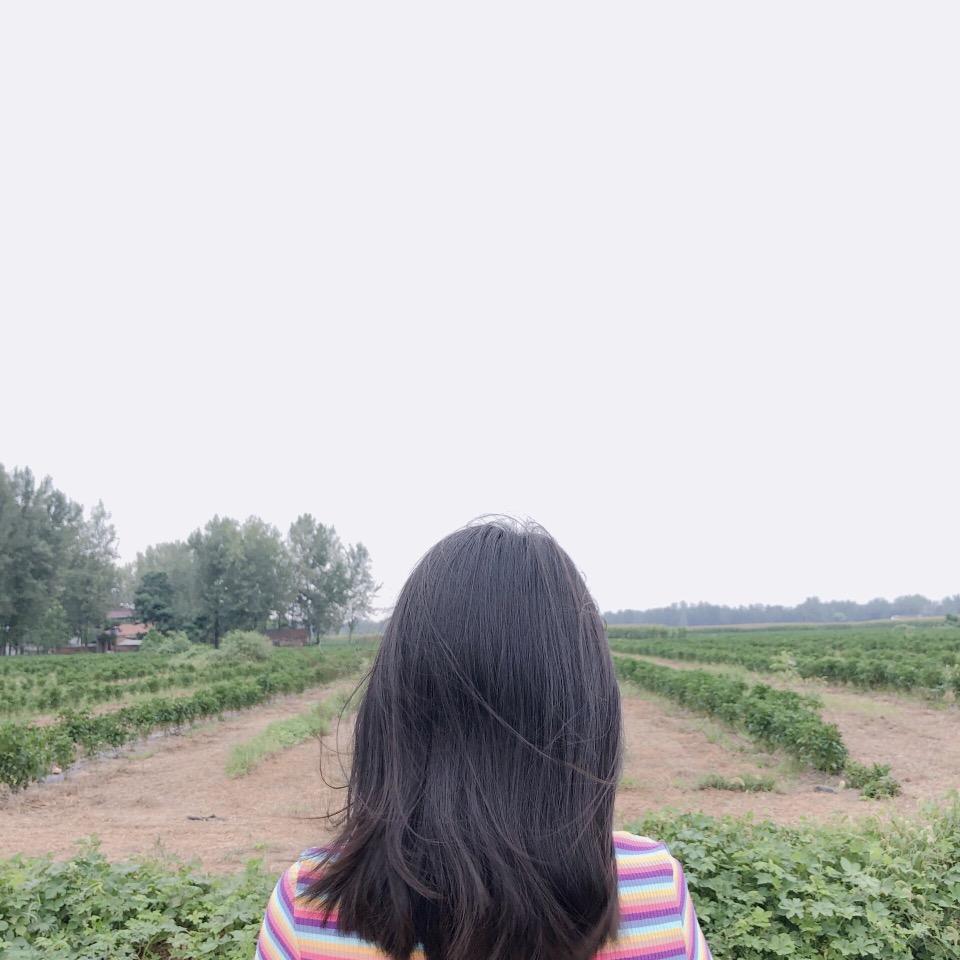 田园种菜记