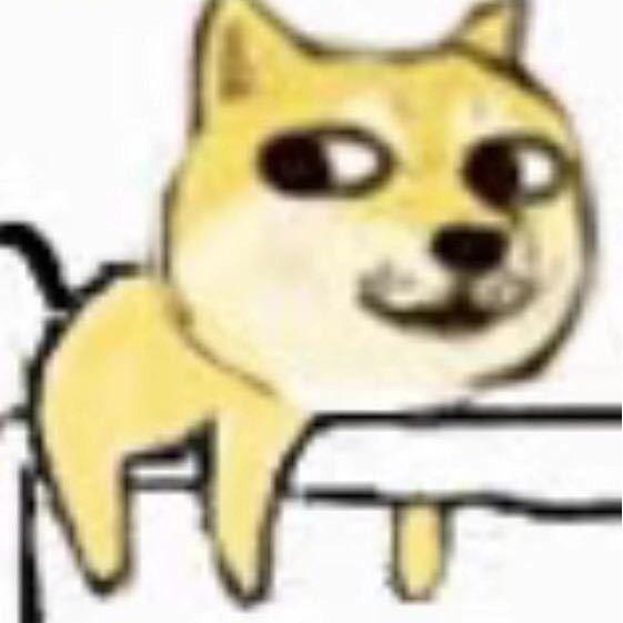 姚哈哈-云和爬宠🦎🐍鱼🐟鼠🐭