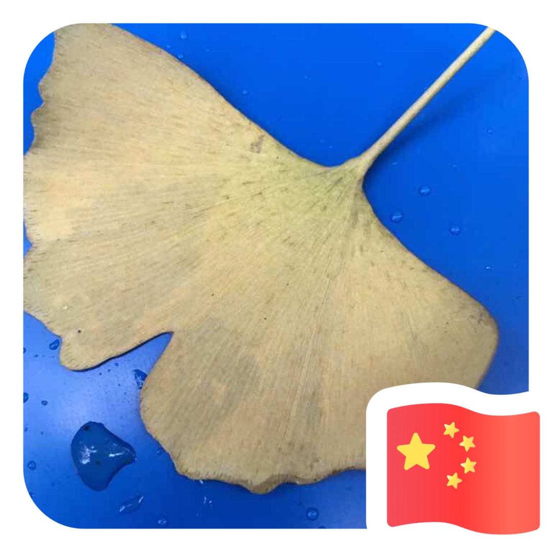 小李装饰