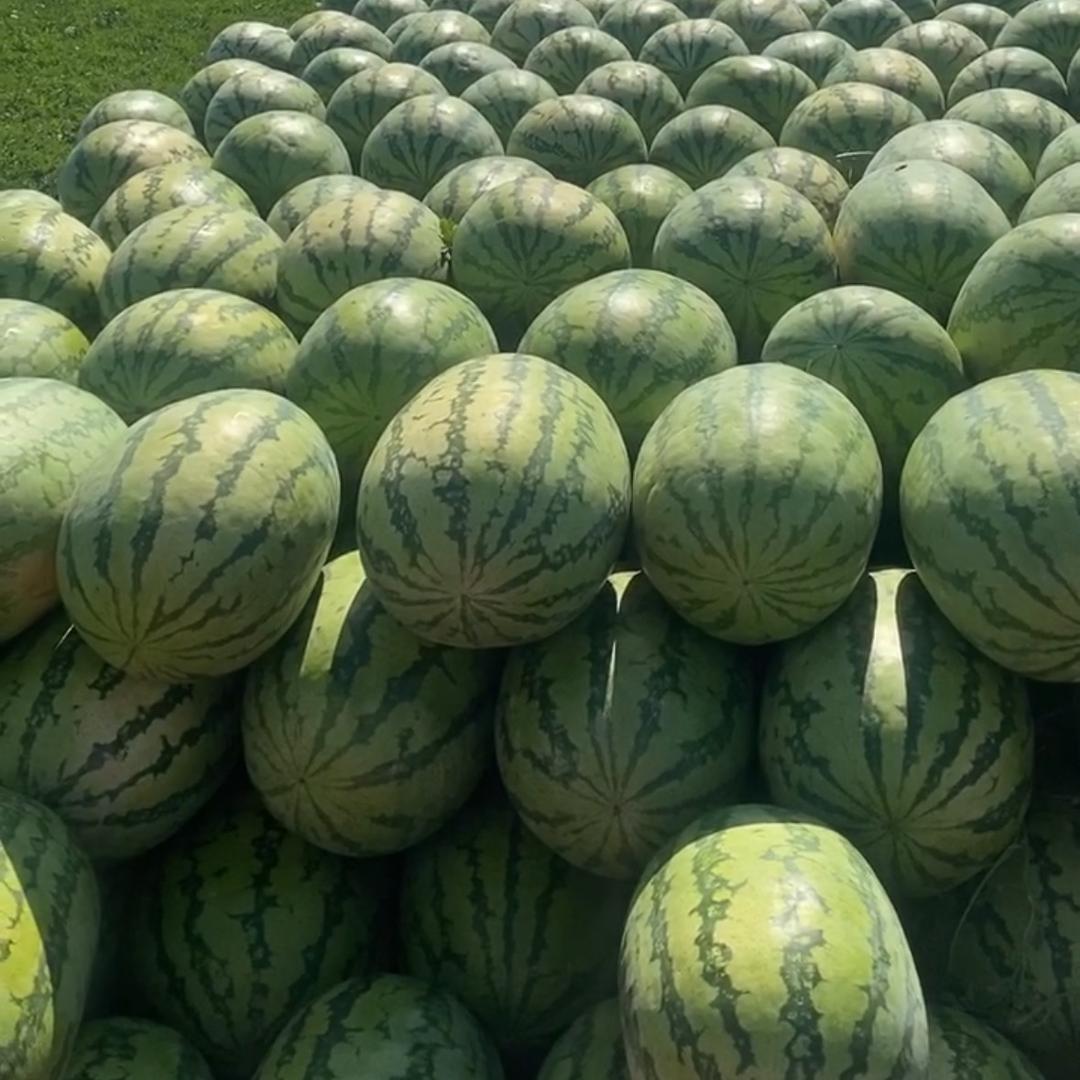 方小方果业产地代收代发
