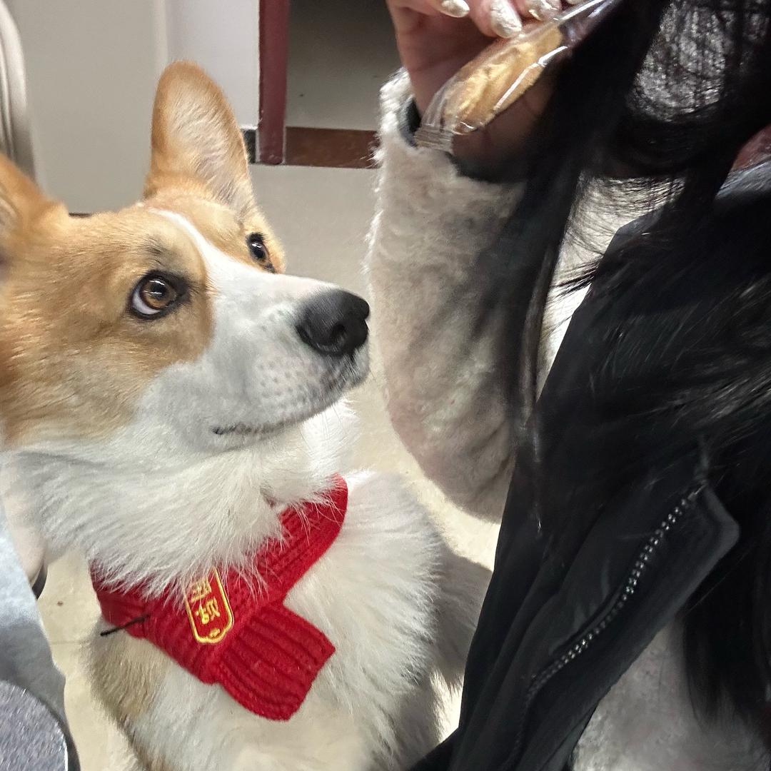 多加辣