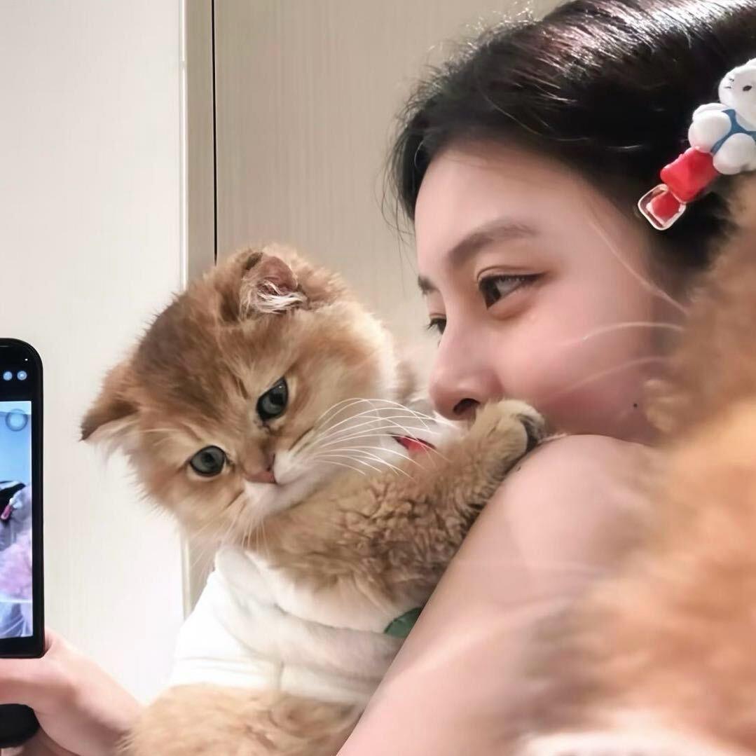 栗栗安.