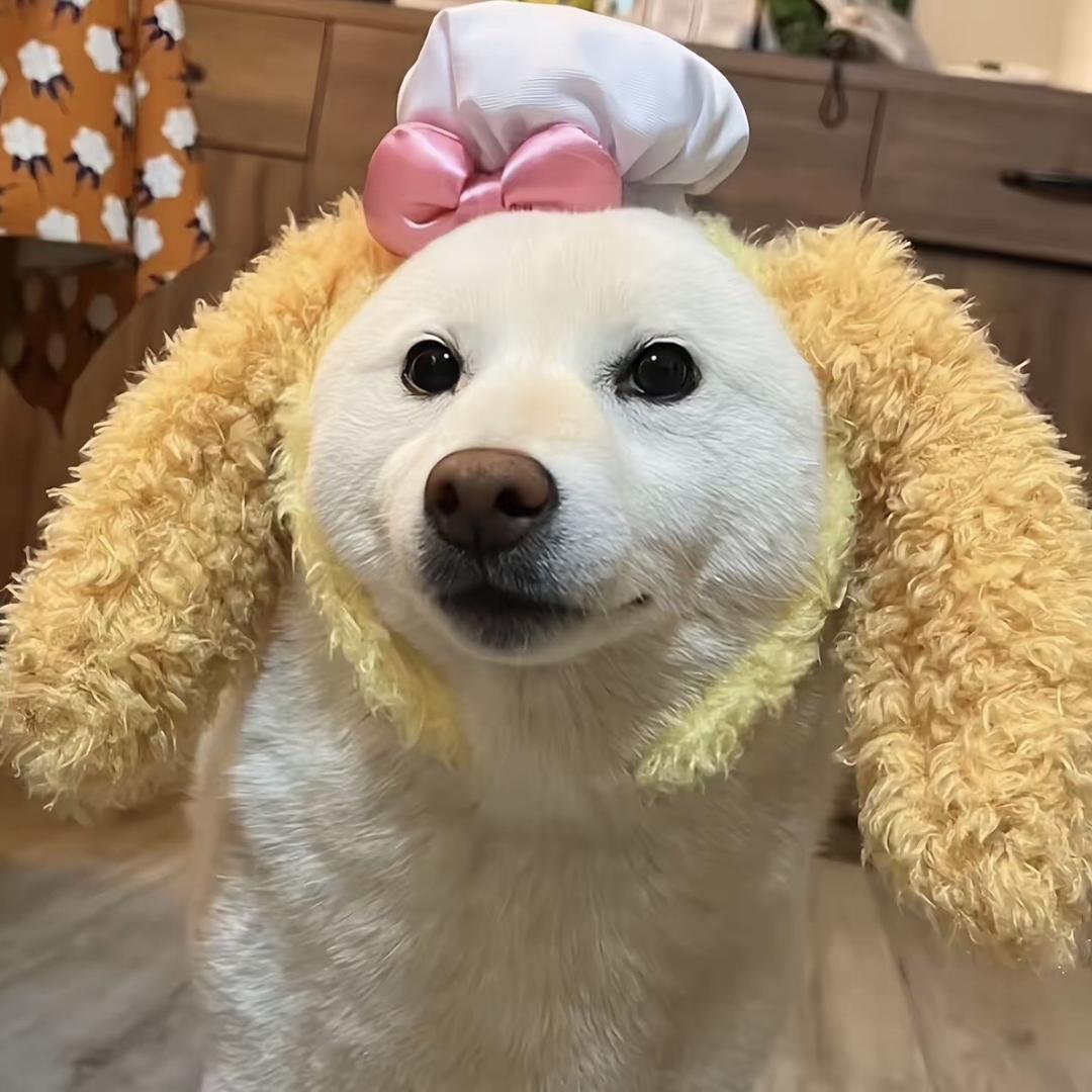 雪酱私物（内内对对碰版）