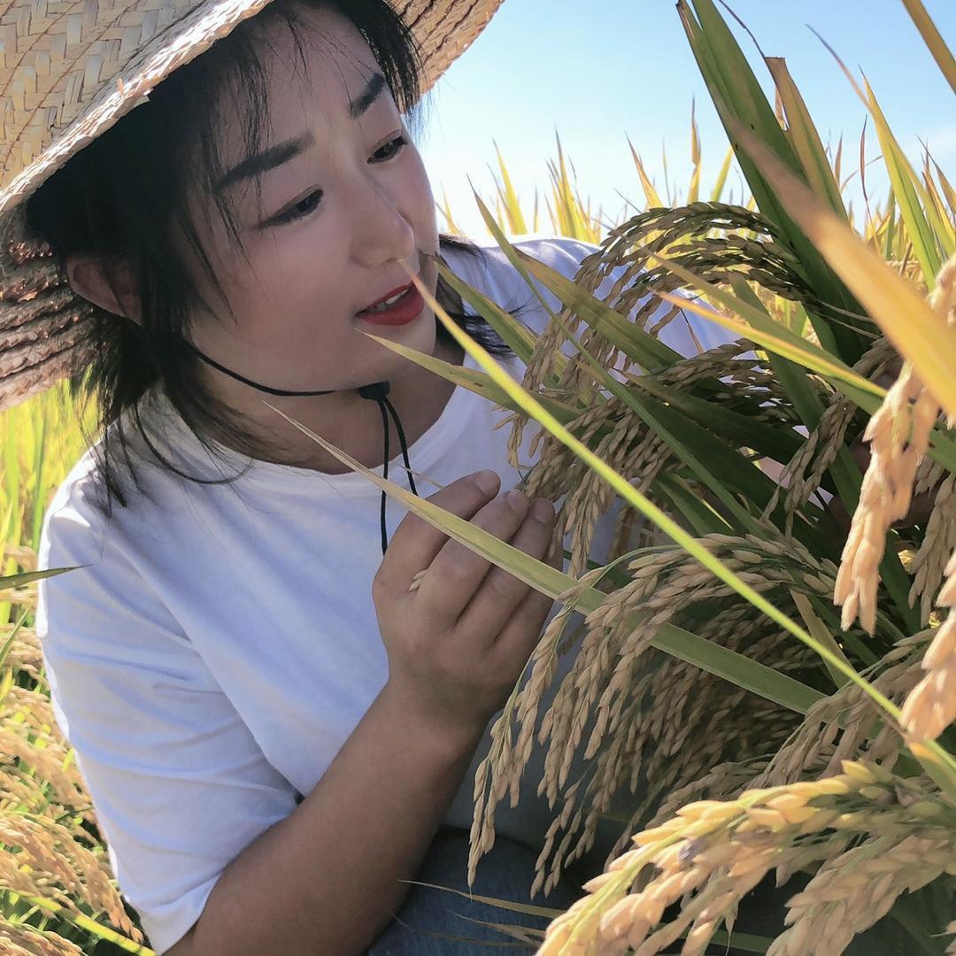 刘美娜五常大米巅松农业
