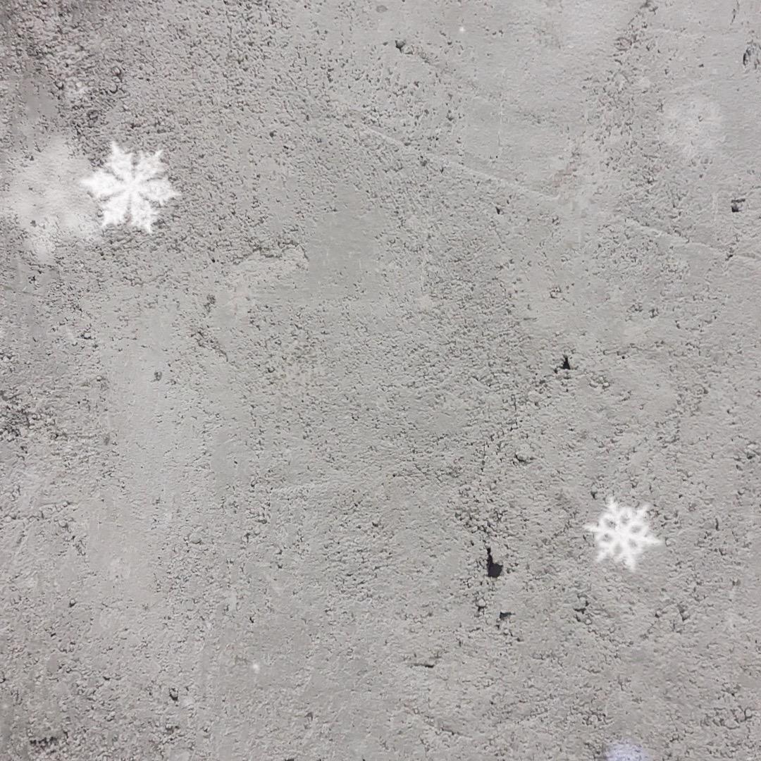 犟驴