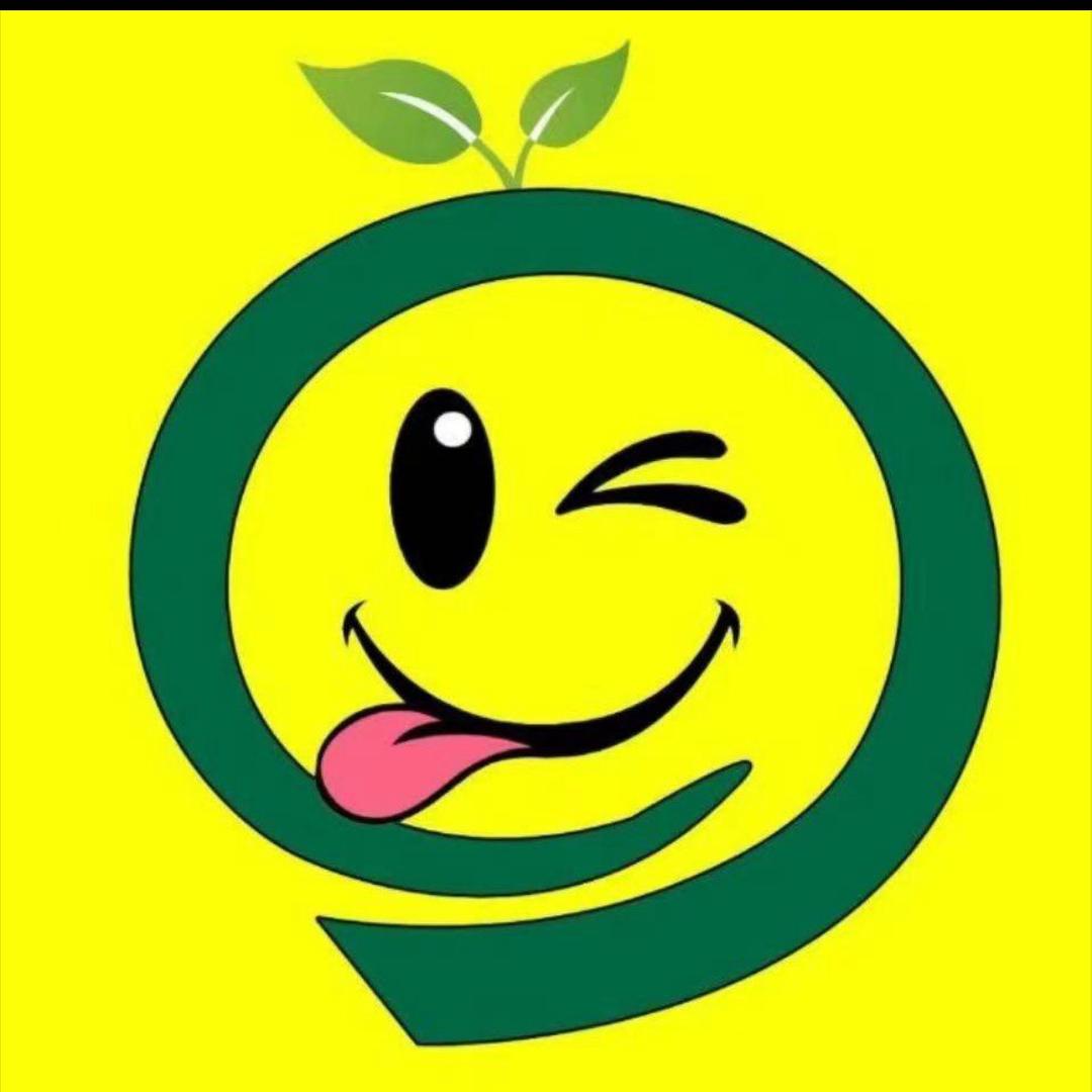 龙龙严选