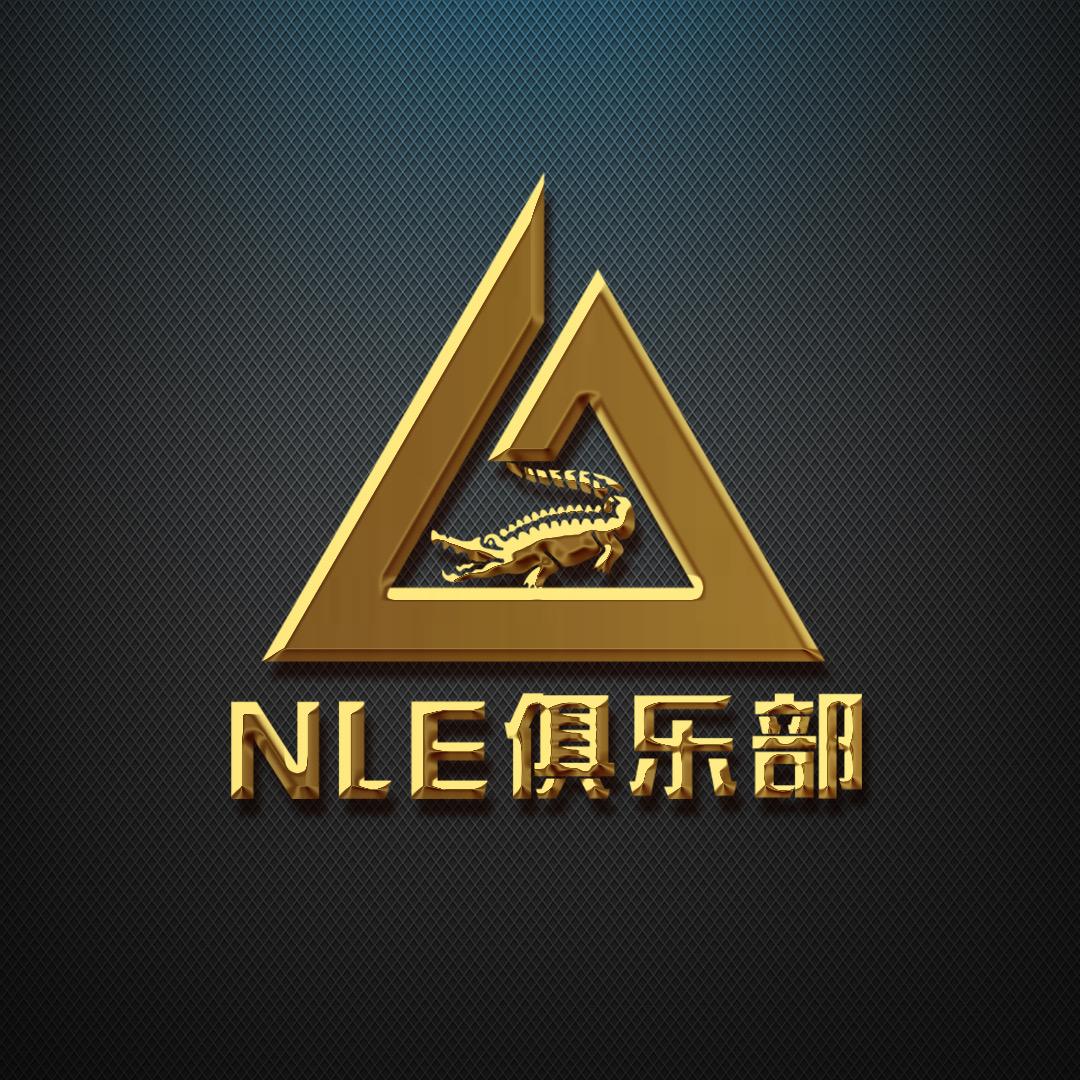 NEL电竞（三角洲行动）