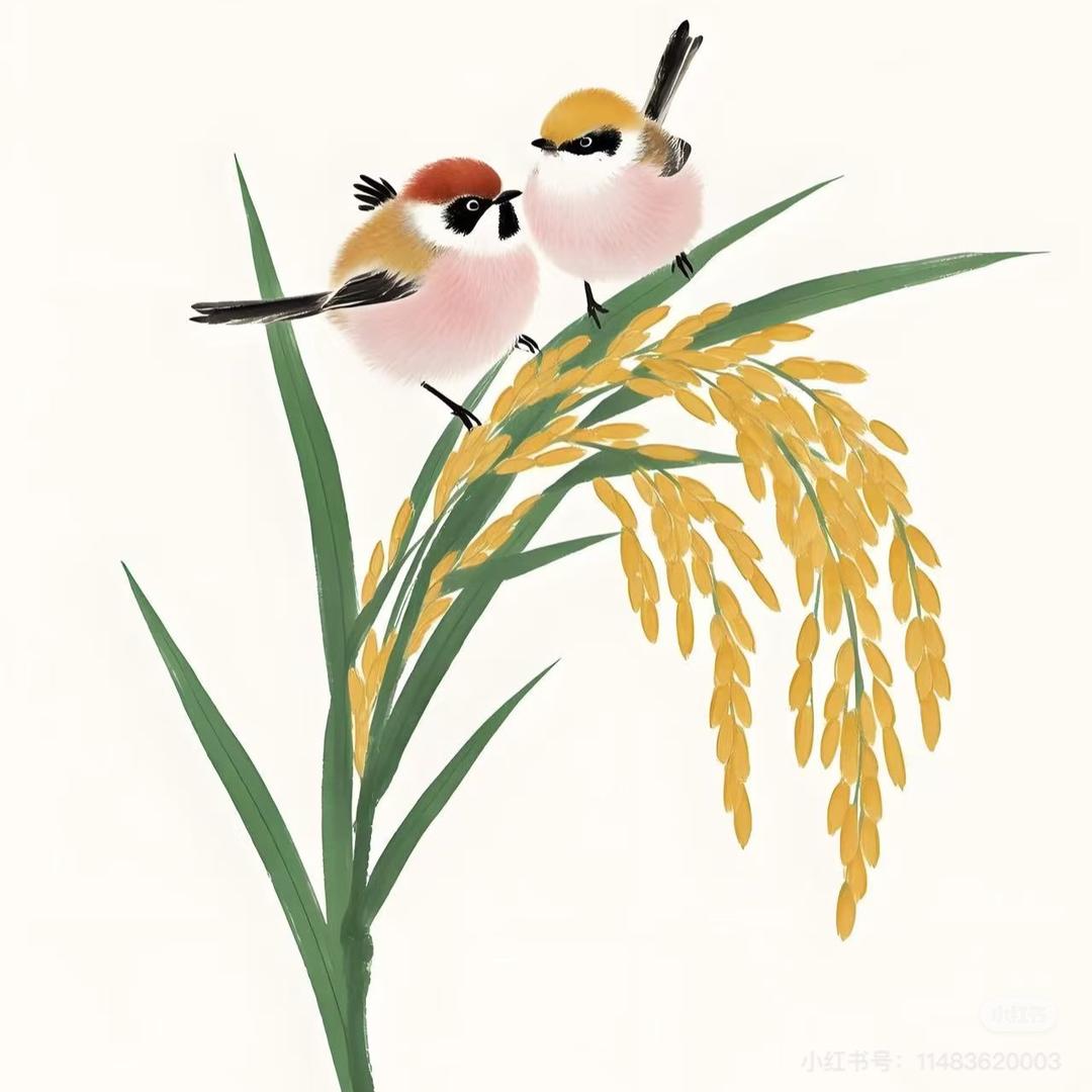 好时节