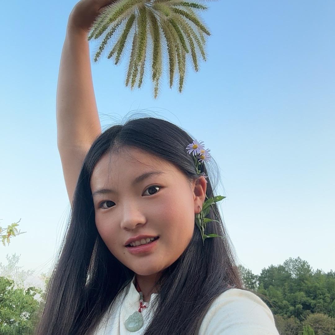 仙人板坂