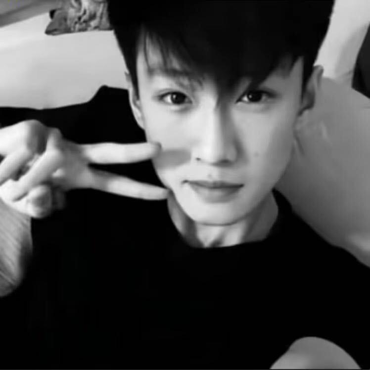 ㅤㅤㅤㅤㅤㅤㅤㅤㅤㅤㅤㅤㅤㅤㅤ