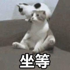 主页推荐