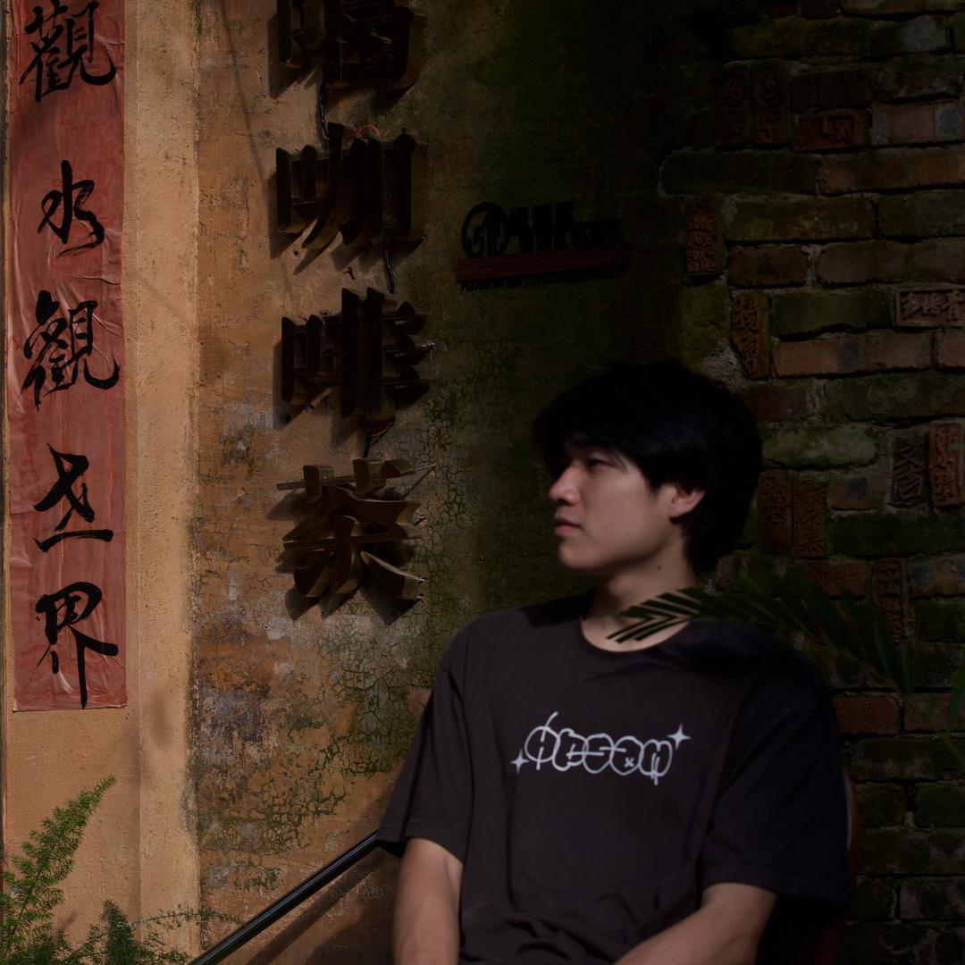 天启骑士
