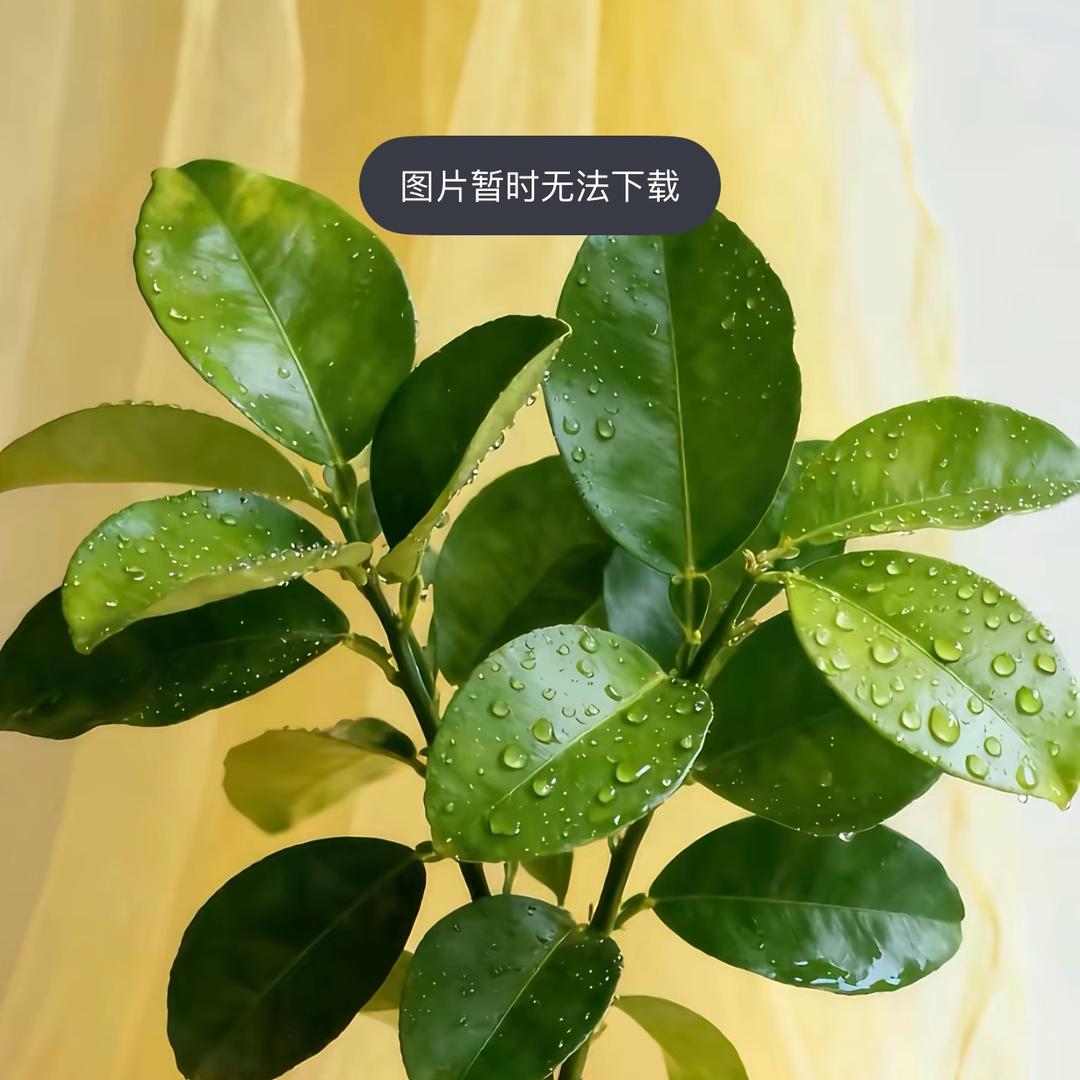 ୫᭄上ଫ上签ᝰ᭄ོ