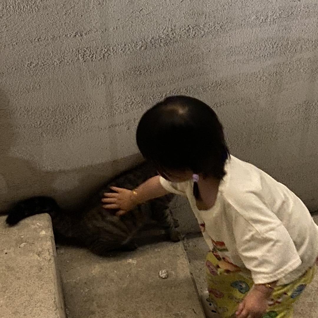 不系少女系老阿姨