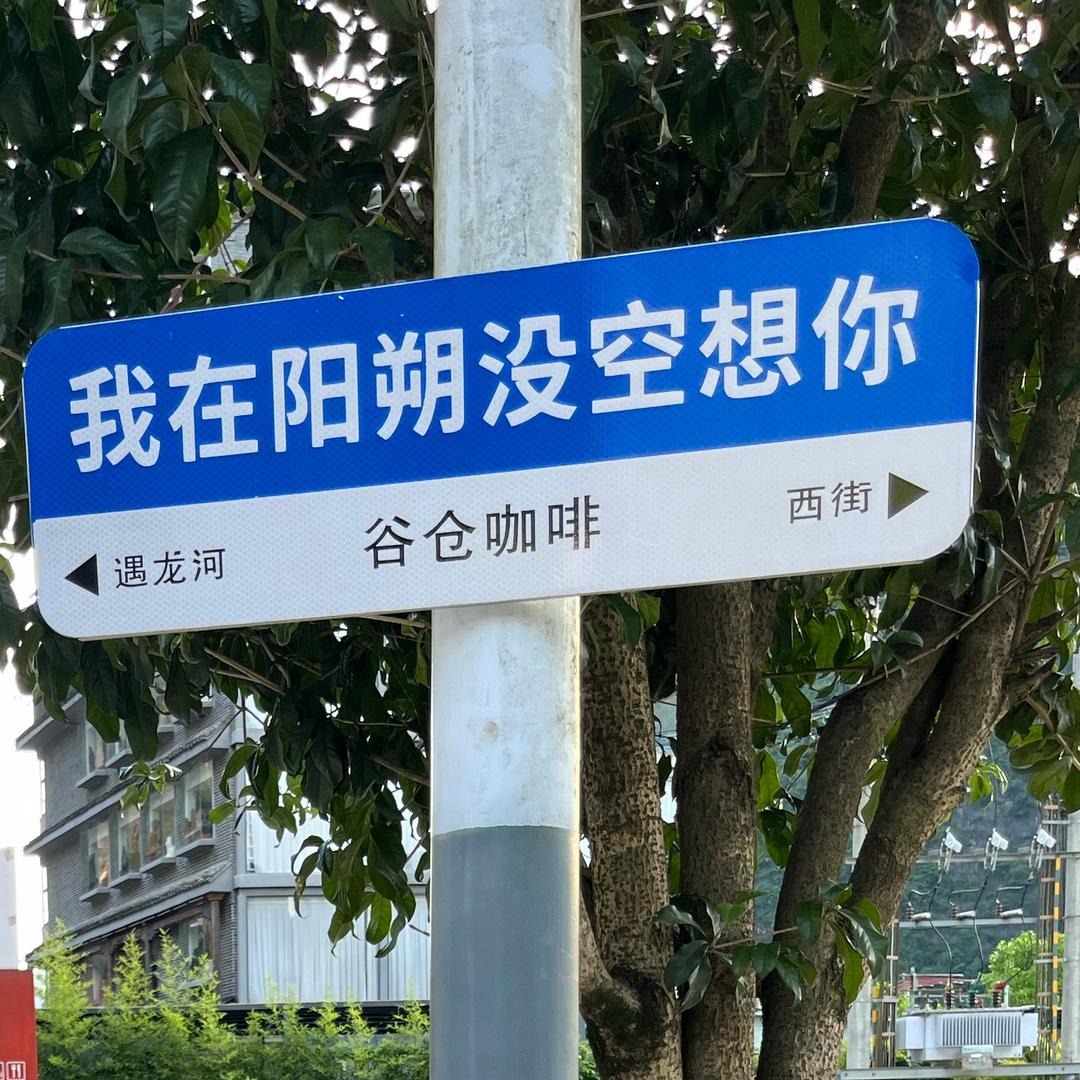 小呆魚