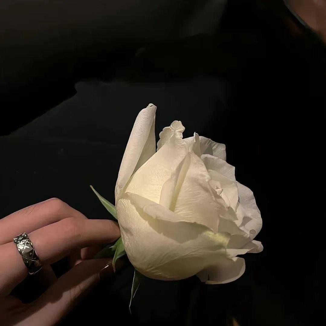 凌霄花
