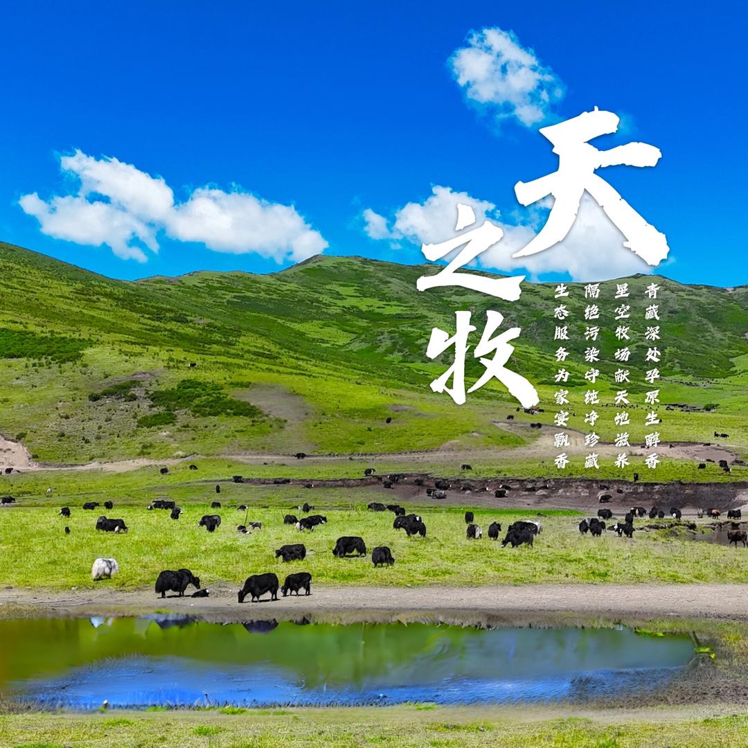 天之牧