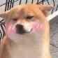 阿F啊