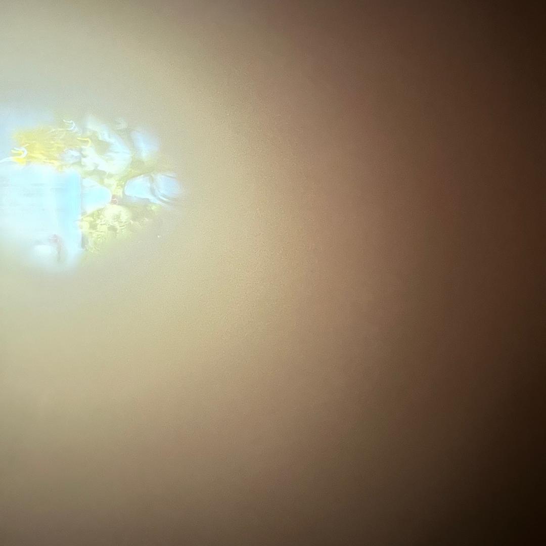 ……✨