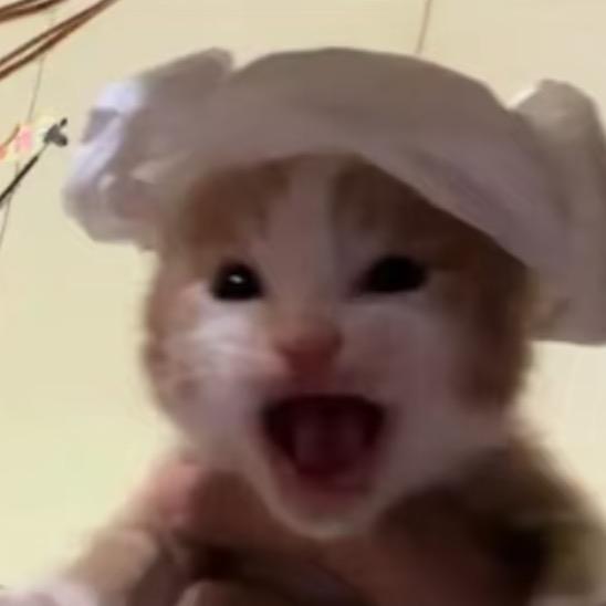 哲子公主万福金安