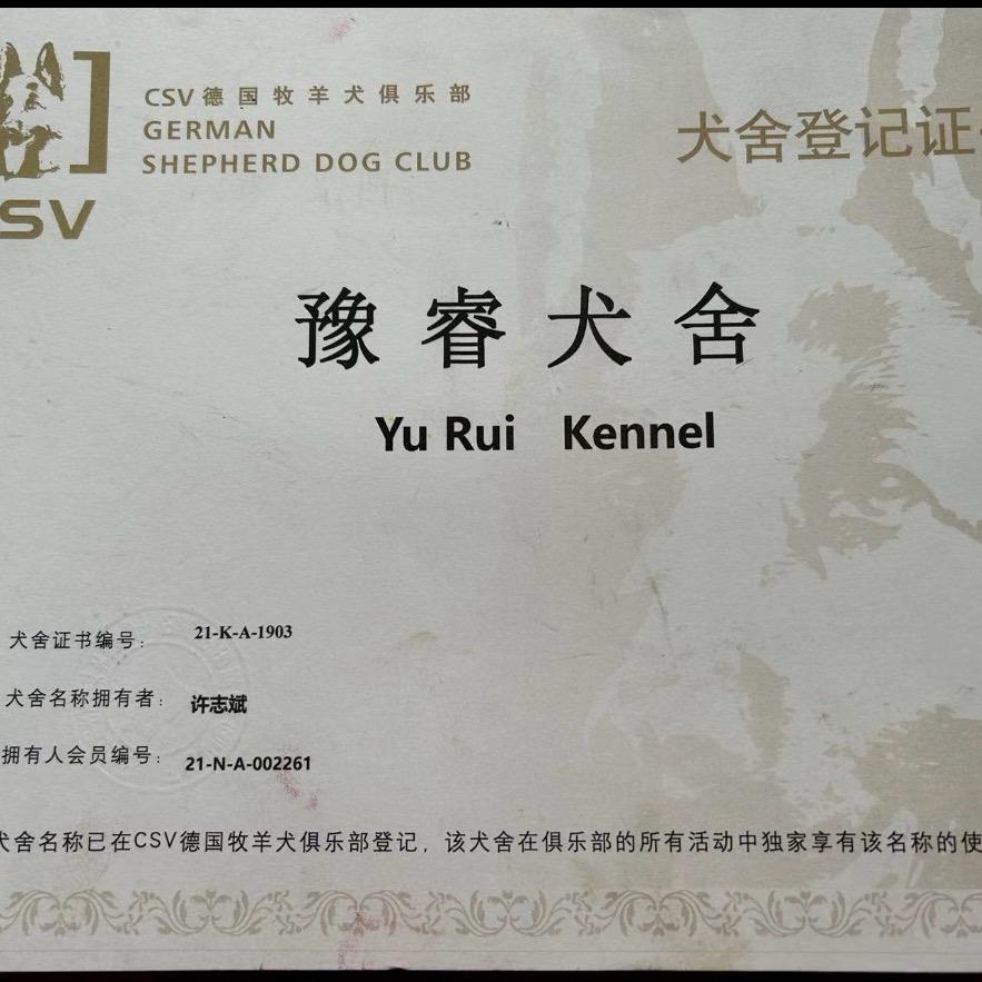 【泰森】的主人