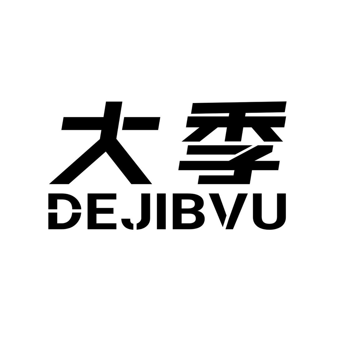 DEJIBVU大季大码羽绒服