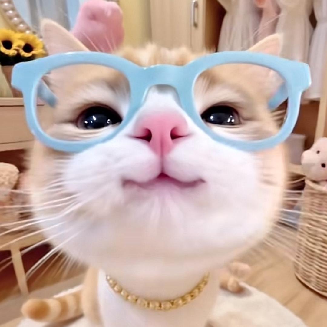 水枪装尿滋谁谁叫