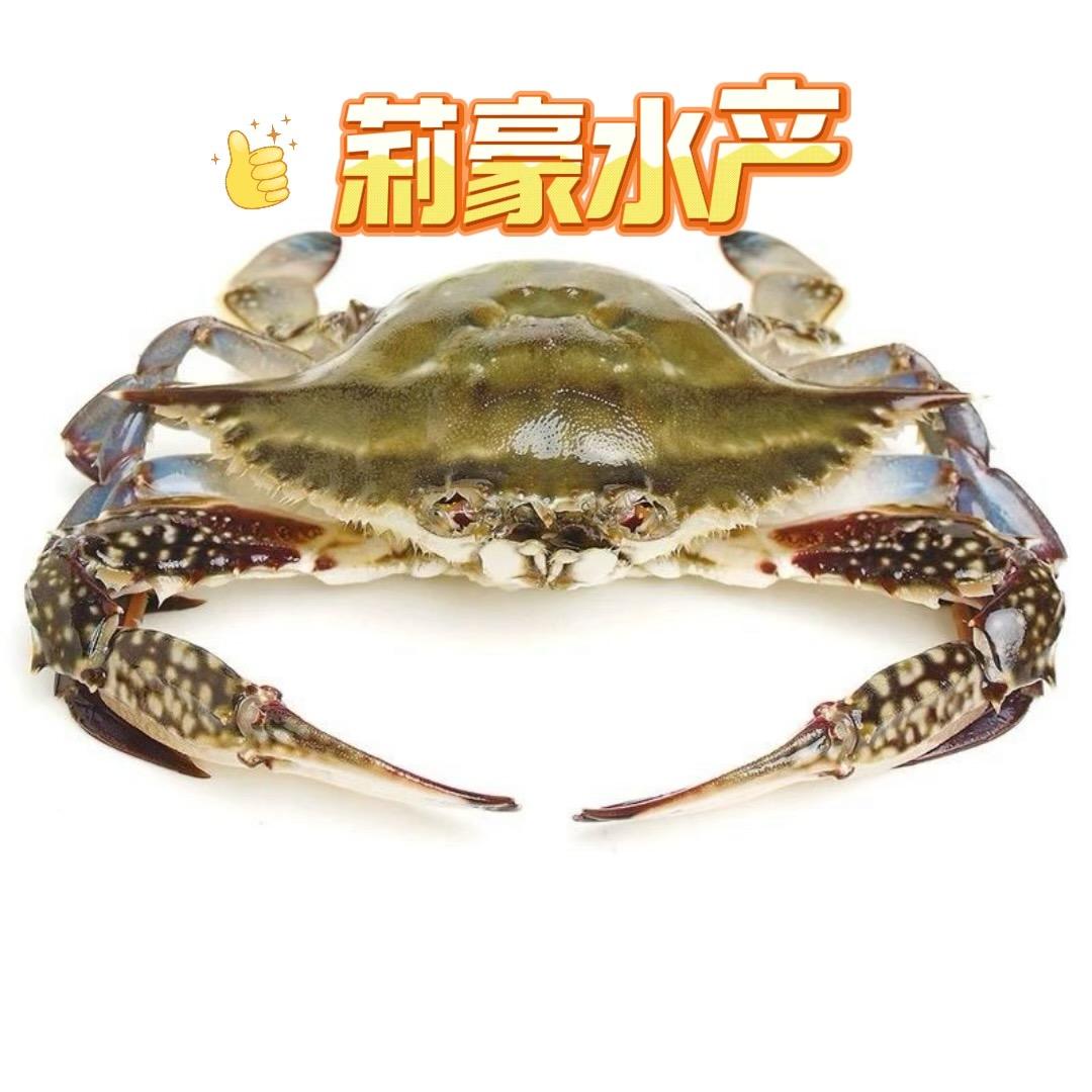 台州市莉豪水产品批发