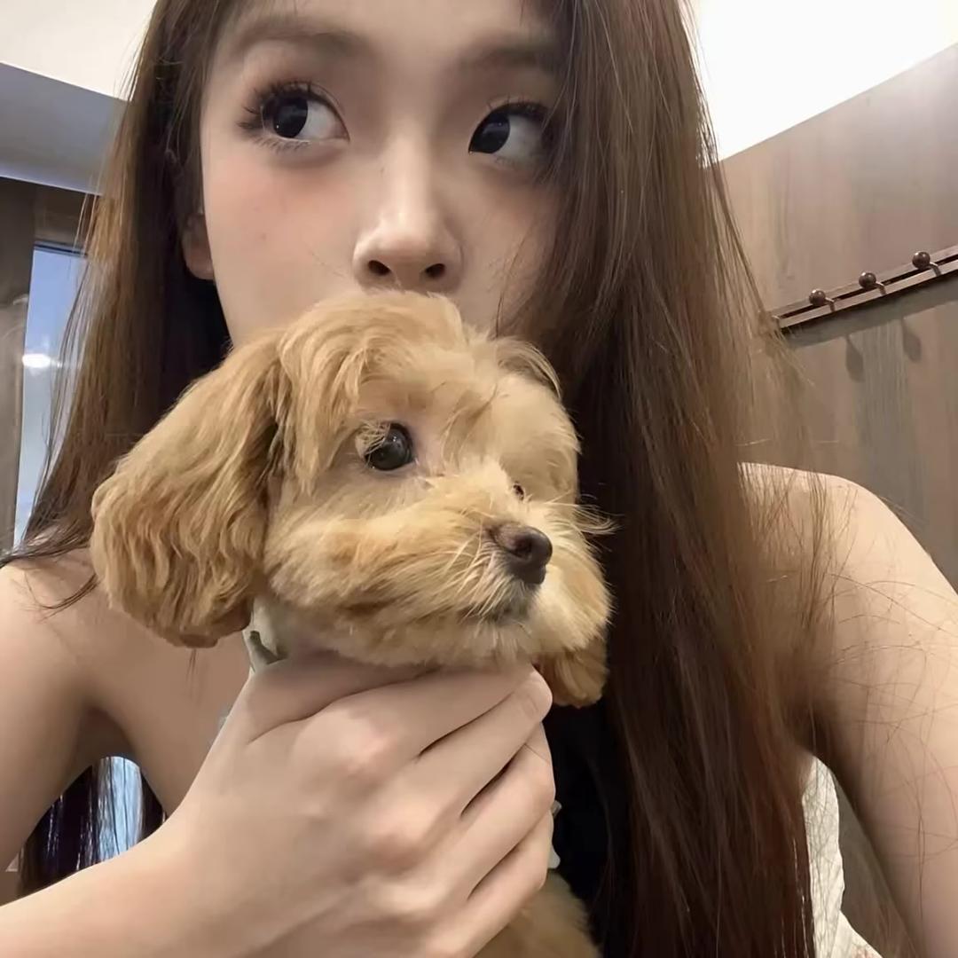 🌈🌈温柔二蛋🌈