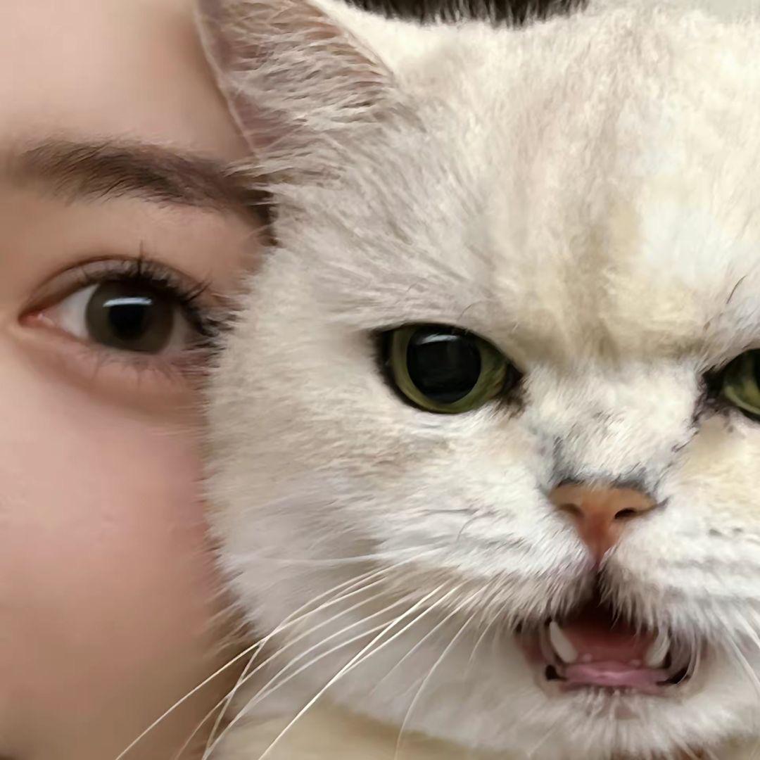 还没想好