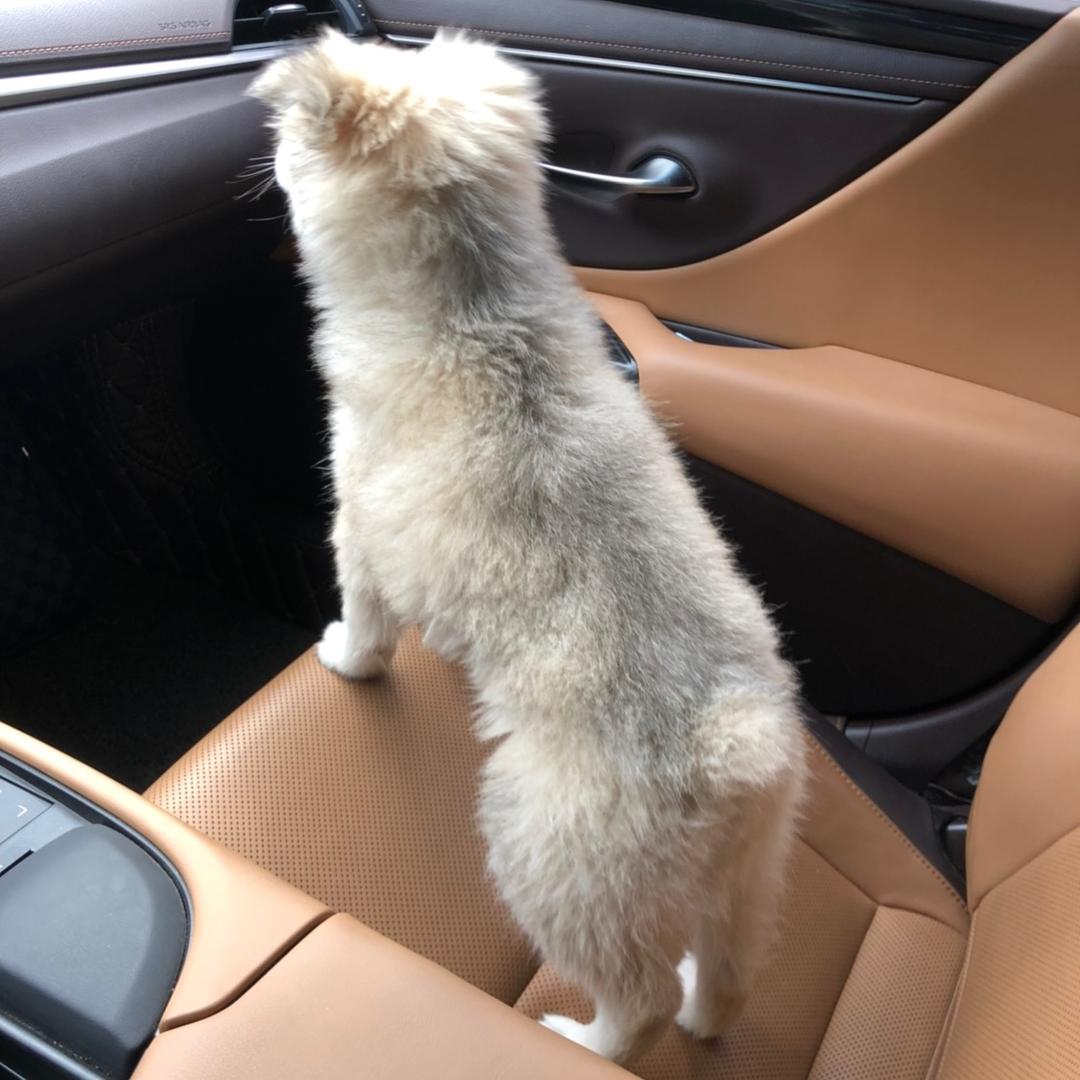 小牛生鲜超市（天博店）