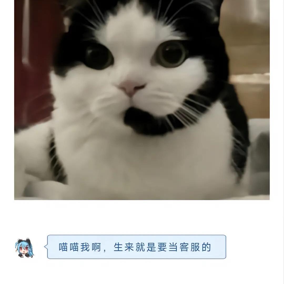 徐来清风