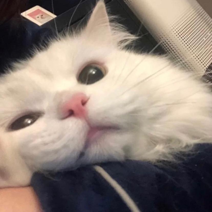 yyyy