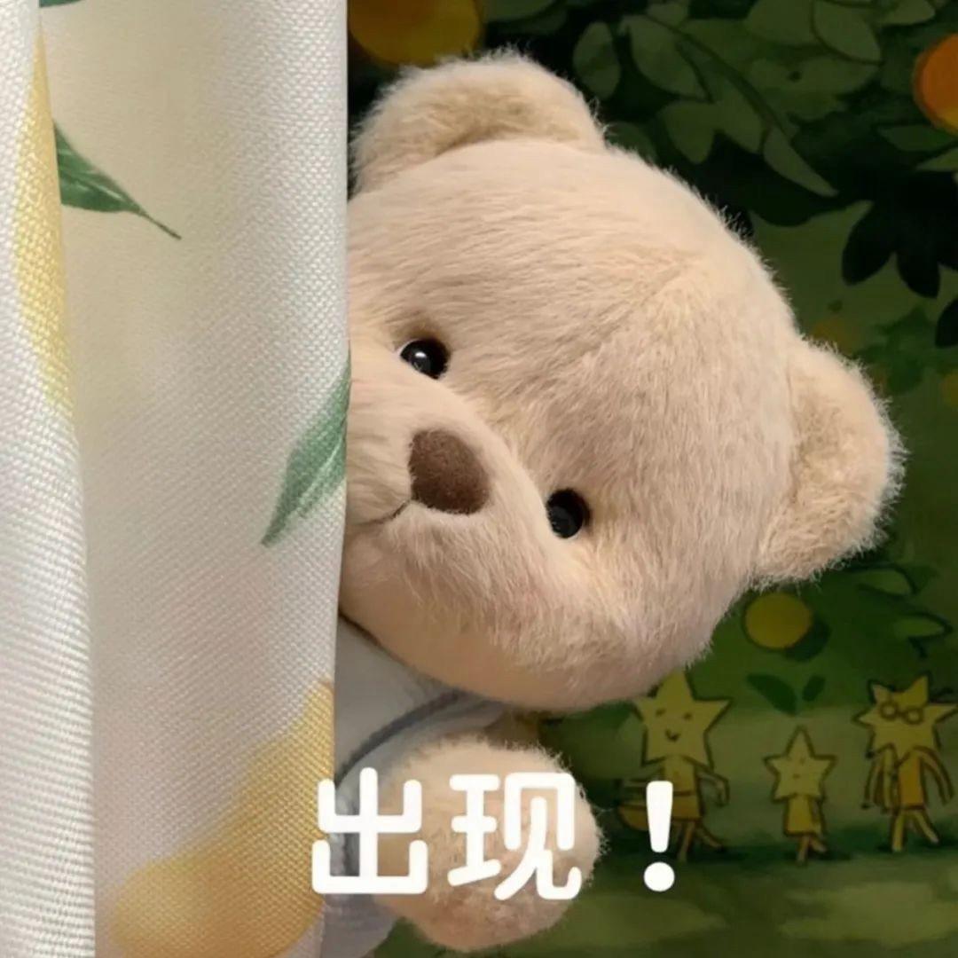 奥宝吃什么