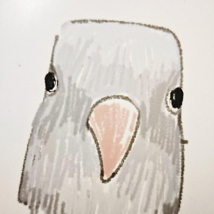 是个鸟虱就好了