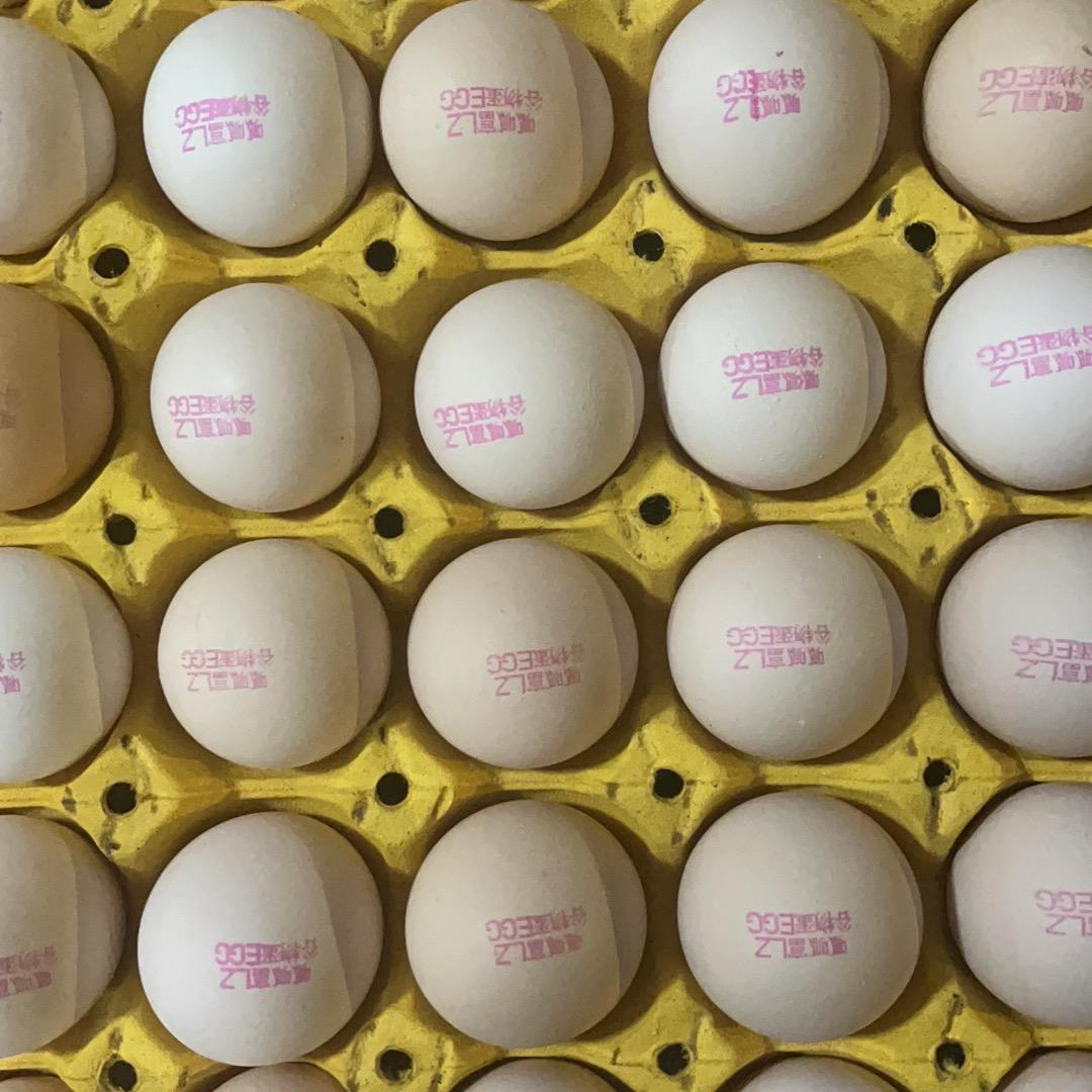 呱呱富蛋业🥚🥚