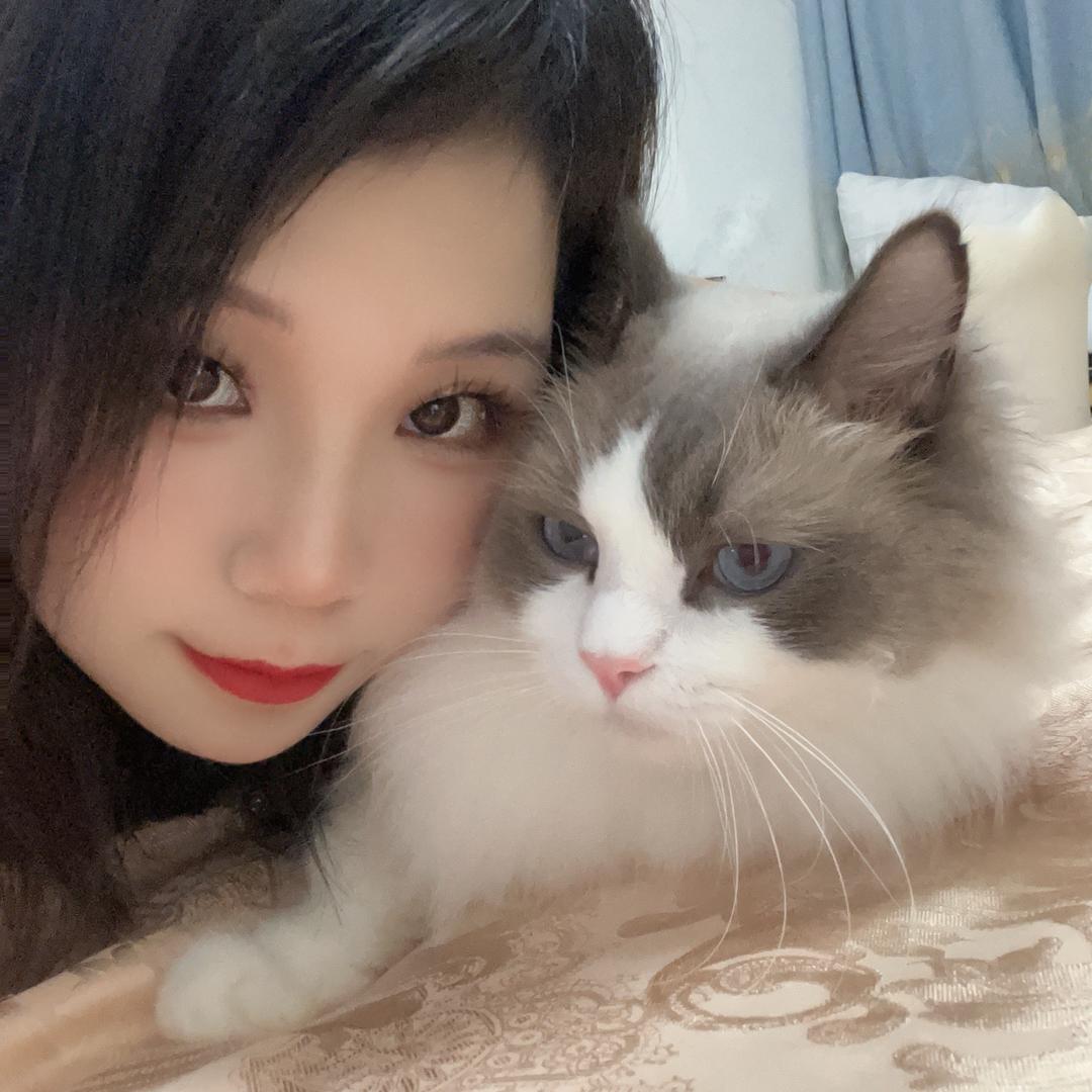 胖墩墩