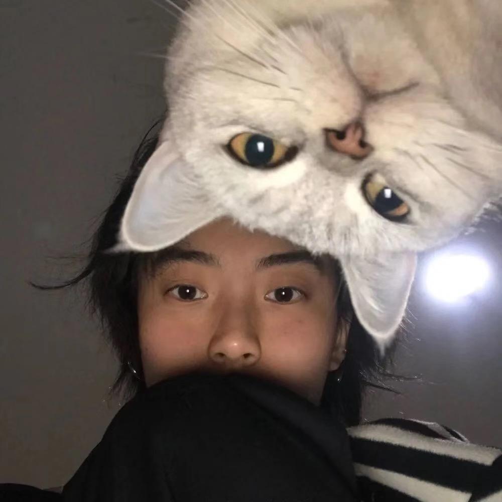 不摸鱼
