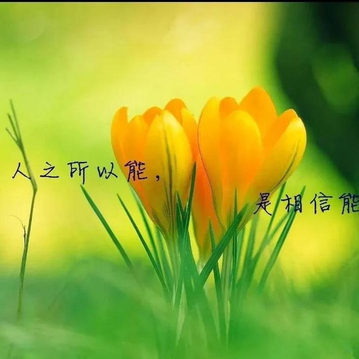 人生若只如初见