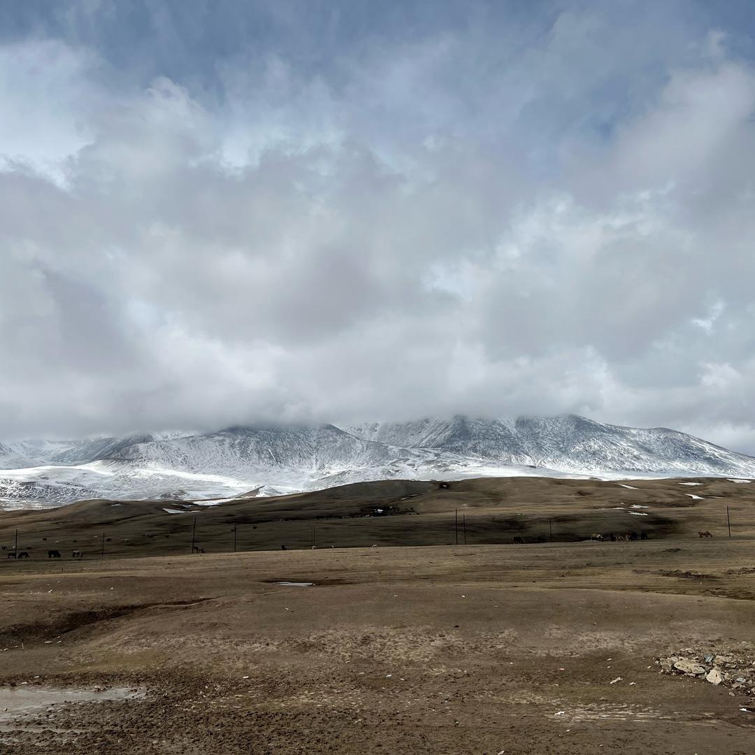 唐门抱着五毒飞