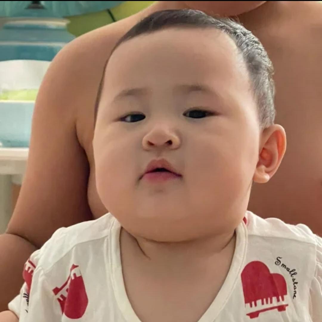年宝日记.🍼